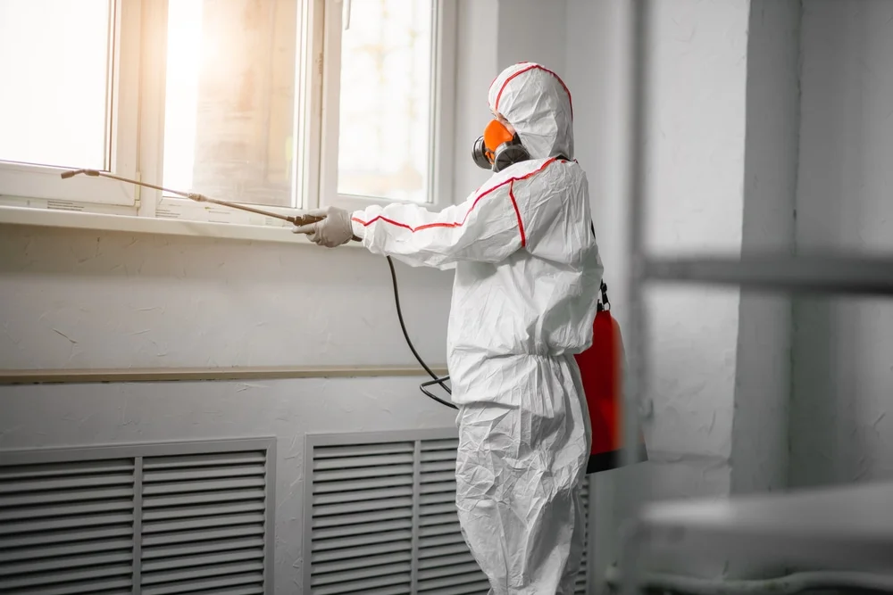 Professional mold remediation services in Satsuma, FL
